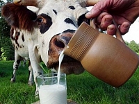 Минсельхоз может ограничить импорт сухого молока