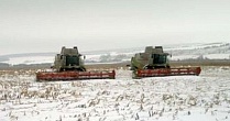 Омские аграрии получат 98 млн рублей субсидий на сельхозстрахование