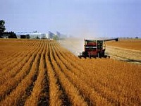 Пермские фермеры получат 217 млн рублей на развитие хозяйств