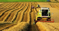 Курганские аграрии получат из бюджета 800 млн рублей