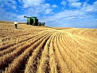 Минсельхоз выделит 90 млн рублей курганским аграриям