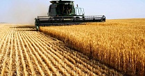 Аграрии Рязанской области получили почти 545 млн рублей субсидий