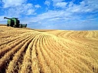 Российские аграрии получат дополнительные 5,55 млрд рублей