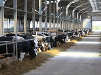 ГК «Дамате» построит в Башкирии два молочных комплекса