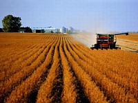 Аграрии Рязанской области с начала года получили почти 1 млрд рублей