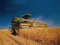 Российские аграрии собрали первый миллион зерна