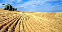 Российские аграрии получат дополнительные 5,55 млрд рублей