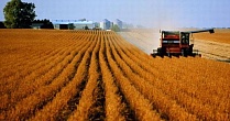 Аграрии Рязанской области получат 496 млн рублей