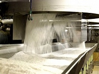 Заводы Кубани выработали 1 млн тонн сахара