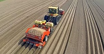 Посадка картошки трактором Challenger MT 765D и Dewulf Miedema