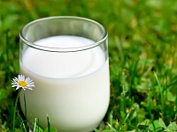Минсельхоз: Производство молока увеличилось на 0,9%
