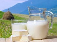 Valio наладит выпуск молока на заводе в Ленинградской области
