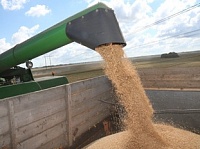 Аграрии Калининградской области намолотили около 400 тыс. тонн зерна