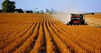 Аграрии Рязанской области с начала года получили почти 1 млрд рублей