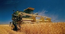 Российские аграрии собрали первый миллион зерна