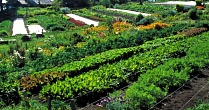 В Кабардино-Балкарии появится новая органическая ферма