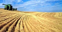 Омские аграрии получили более 1 млрд рублей субсидий