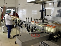 Минсельхоз выделит 500 млн рублей на пункты прием молока